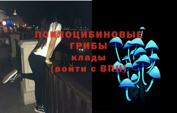 таблы Арсеньев