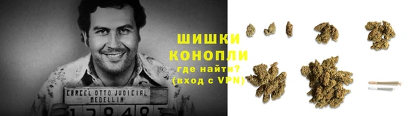 винт Аркадак