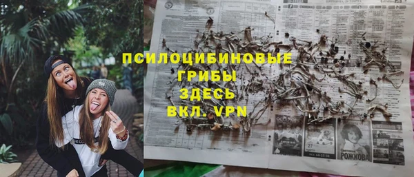 дурь Алзамай