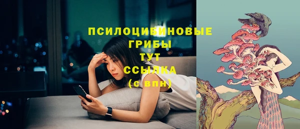 таблы Арсеньев